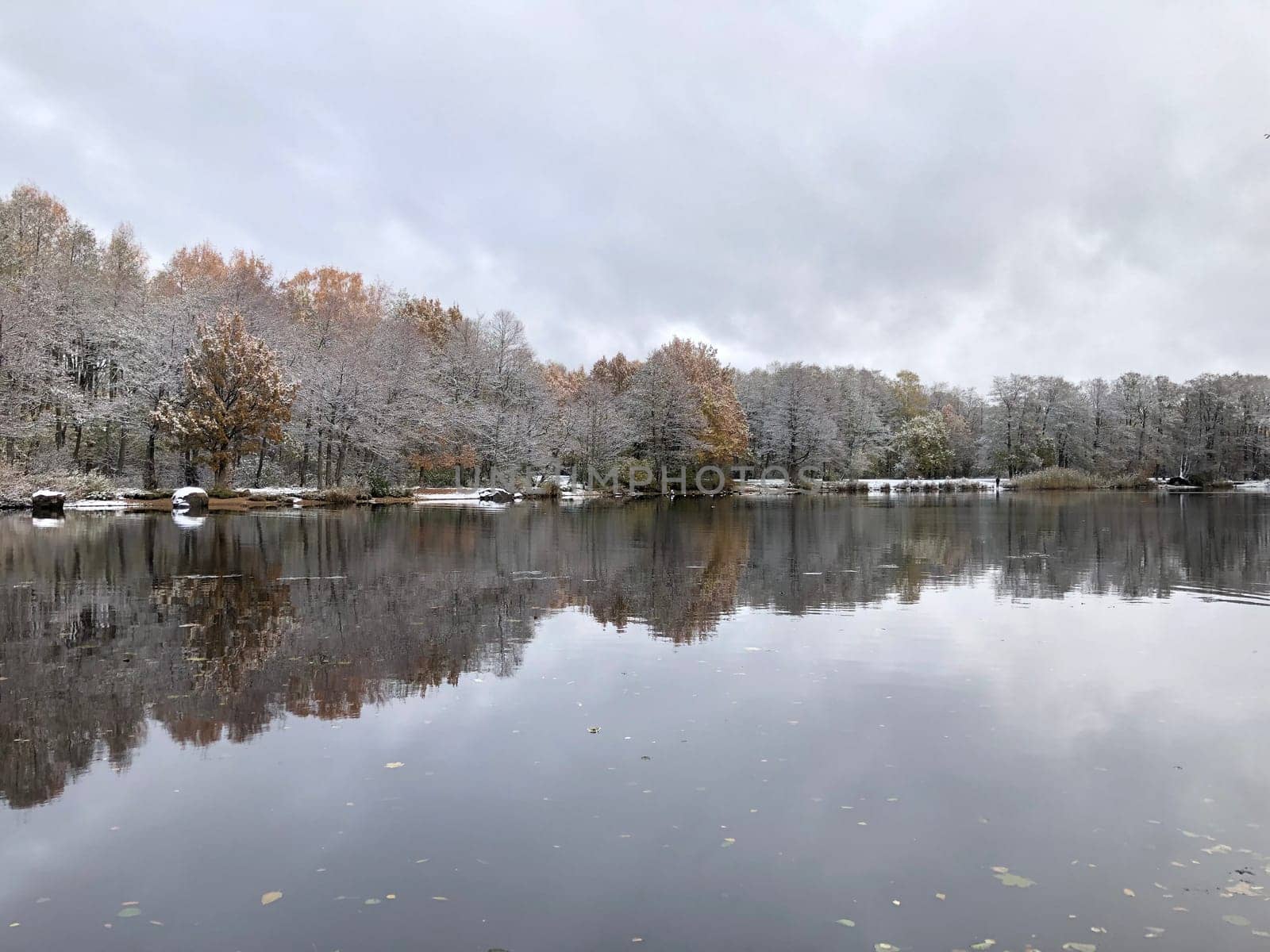 trees covered with snow and frost, as if silver, are reflected in the smooth mirror water of the river, winter landscape