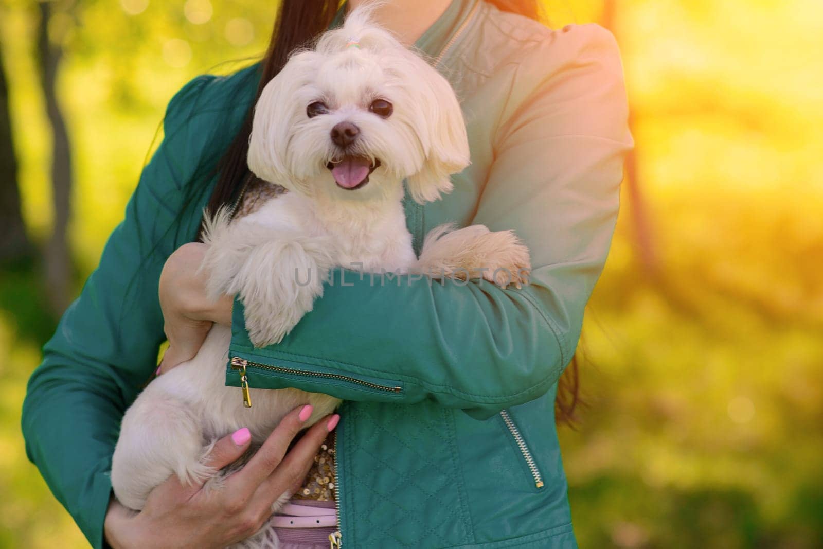 Young woman with her dog. Puppy white dog with it's owner. Concept about friendship, animal and freedom.