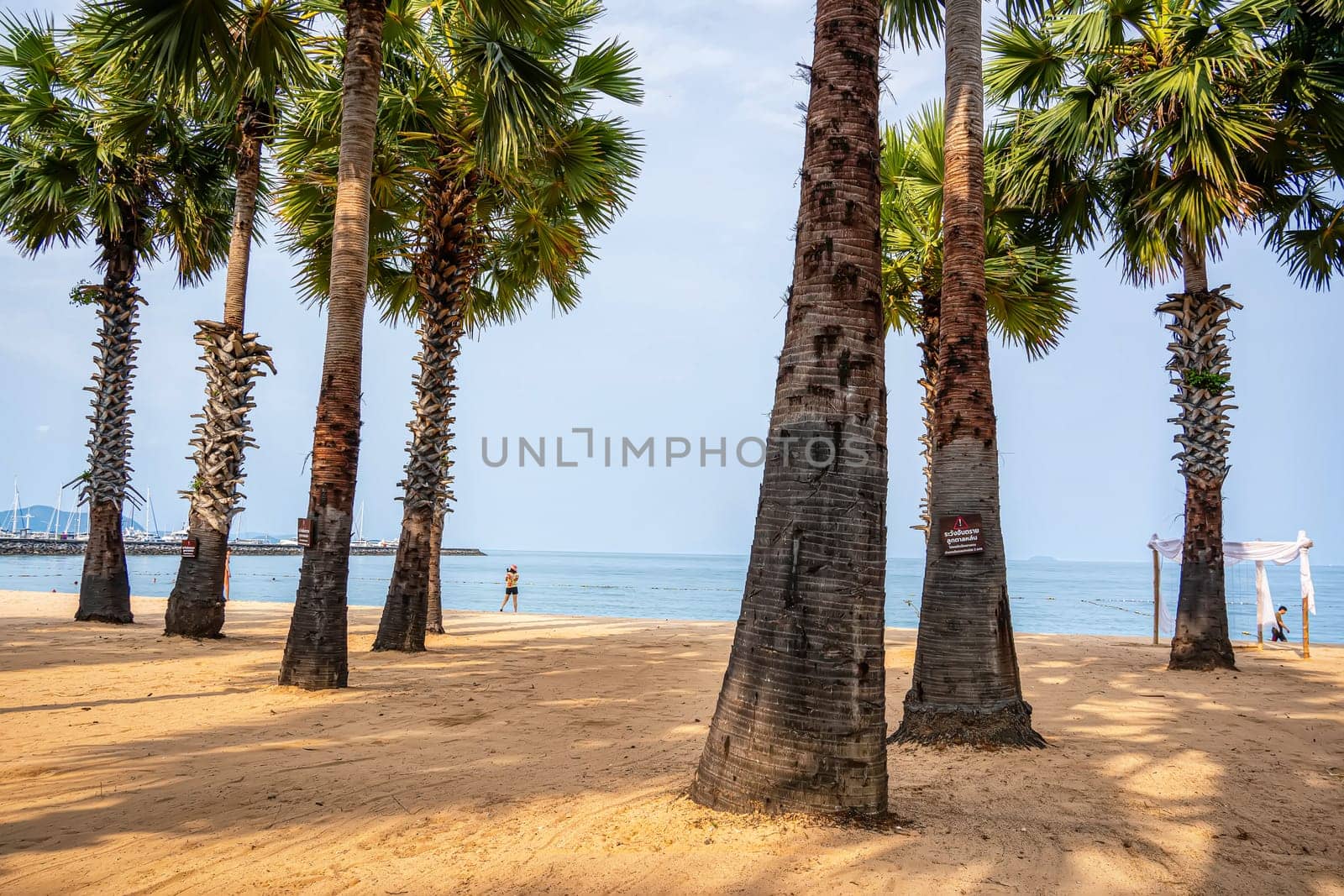 Beach atmosphere on a good weather day.