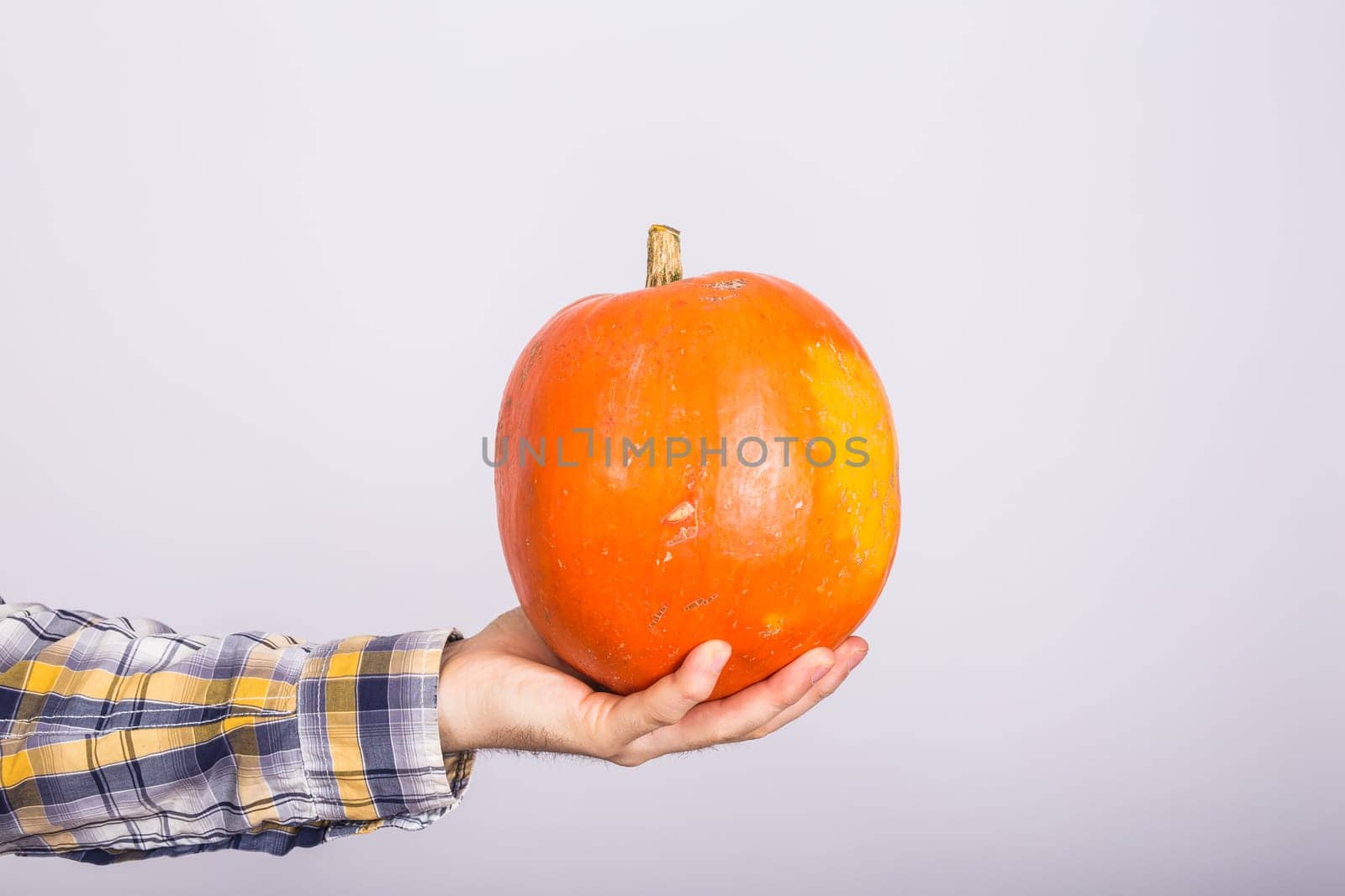 portrait of a young farmer holding a pumpkins on a light background studio.