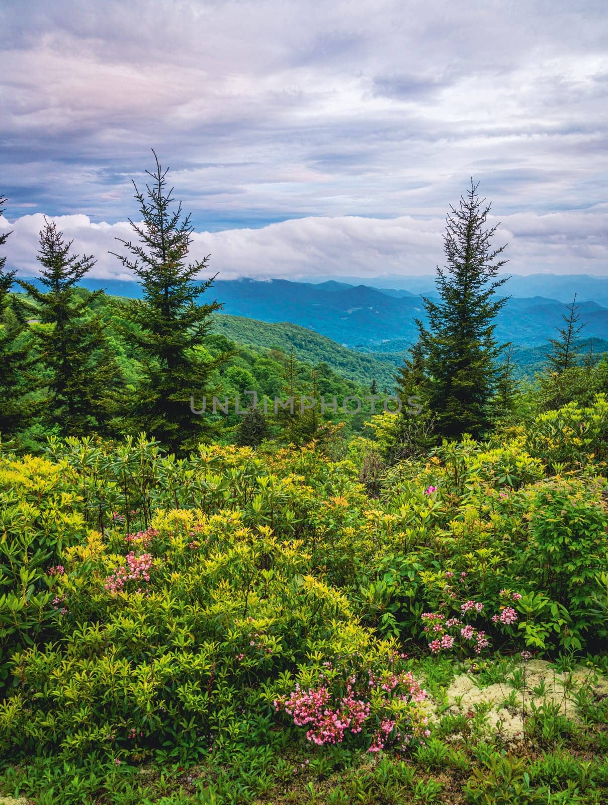 Scenic view of the Smokie Mountains from Blue Ridge Parkway near Maggie Valley, North Carolina