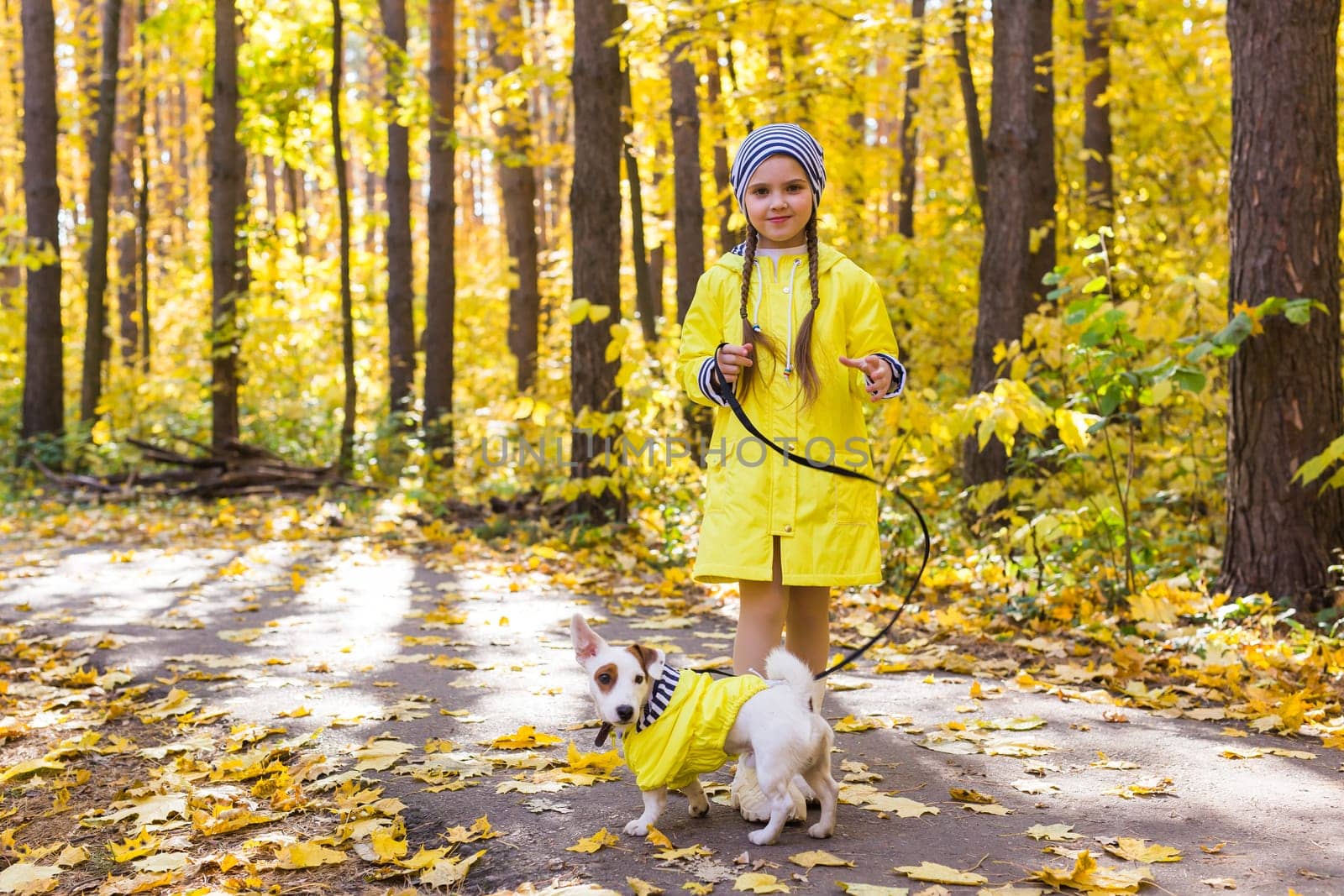 Portrait of a little girl on a background of orange and yellow leaves in an autumnal sunny day. Little puppy jack russell terrier. Pet and child concept.