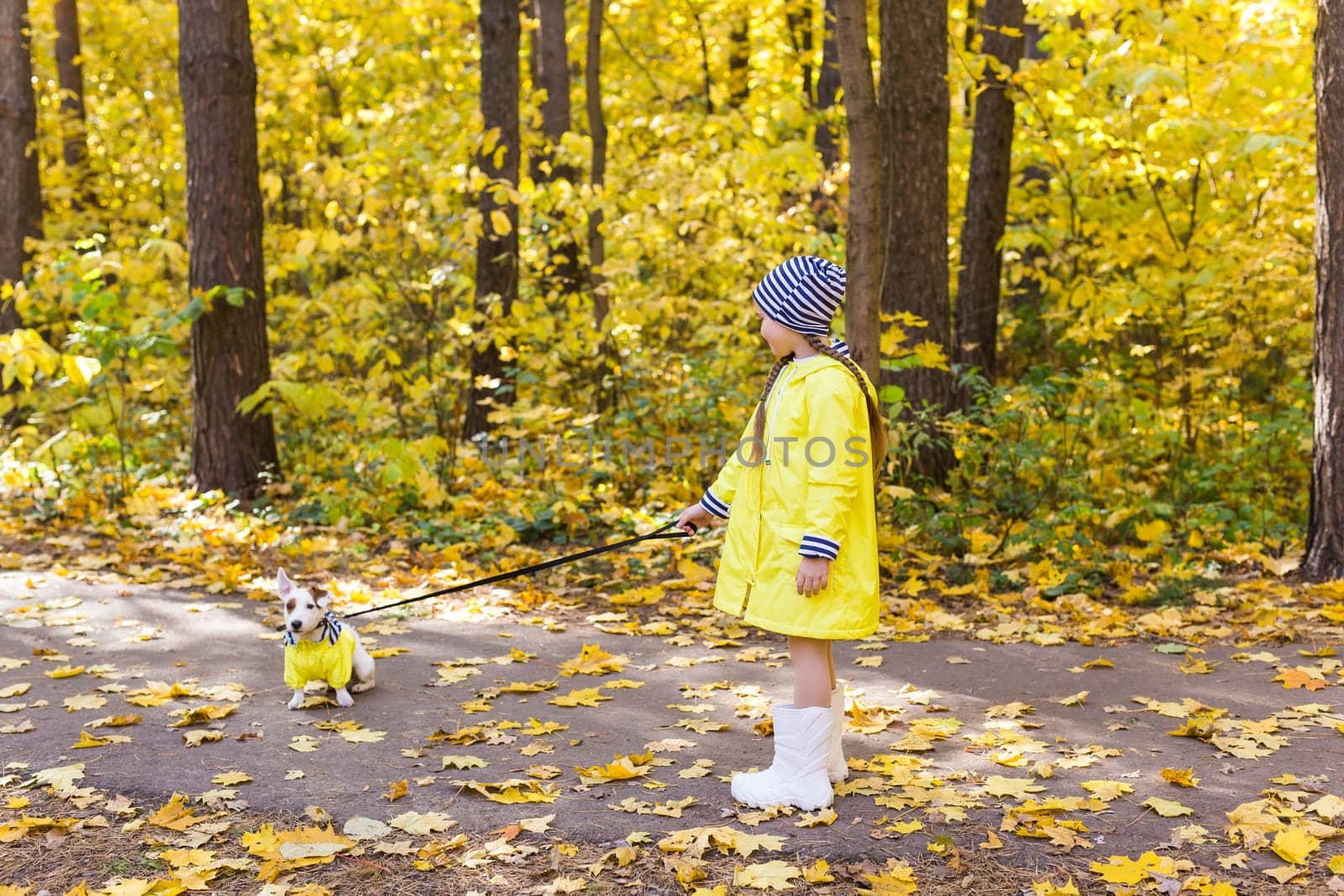 Portrait of a little girl on a background of orange and yellow leaves in an autumnal sunny day. Little puppy jack russell terrier. Pet and child concept.