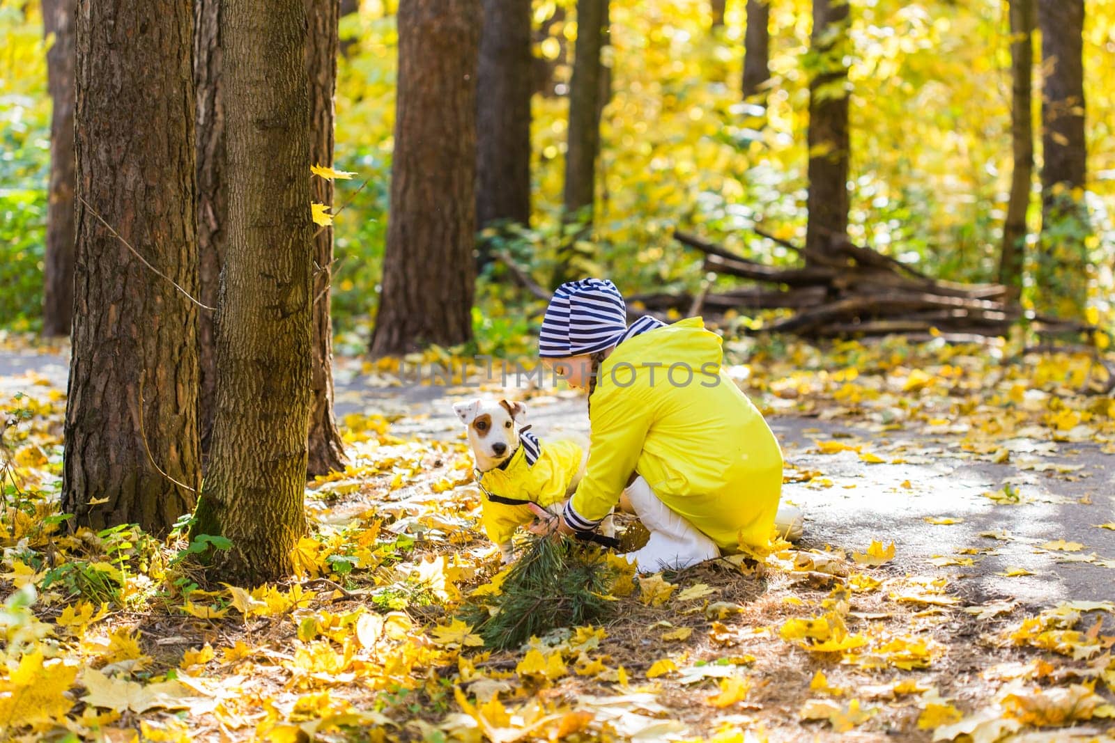 Child girl with dog outdoors. Kid with pet at autumn. Jack russell terrier puppy