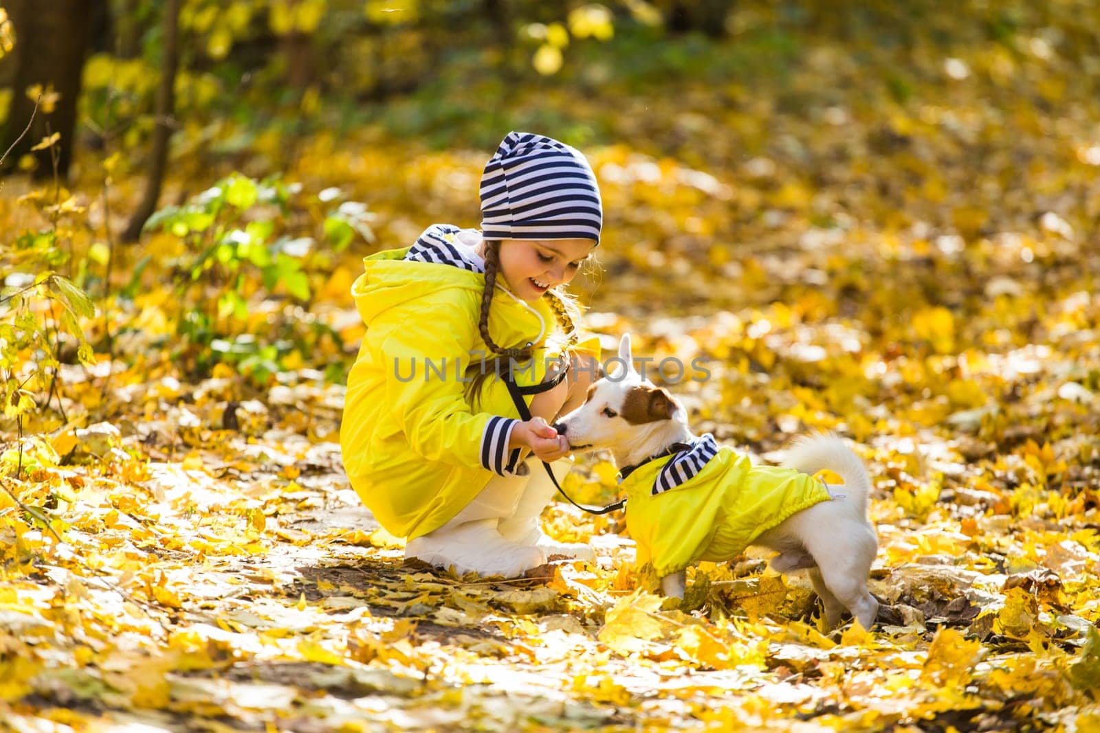 Girl with a dog jack russell terrier. Child, childhood, friendship and pet concept. Small dog walking in the autumn park.