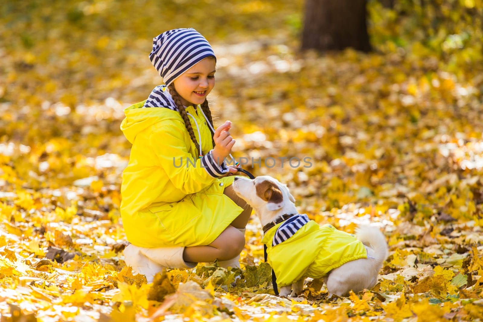 Girl with a dog jack russell terrier. Child, childhood, friendship and pet concept. Small dog walking in the autumn park.