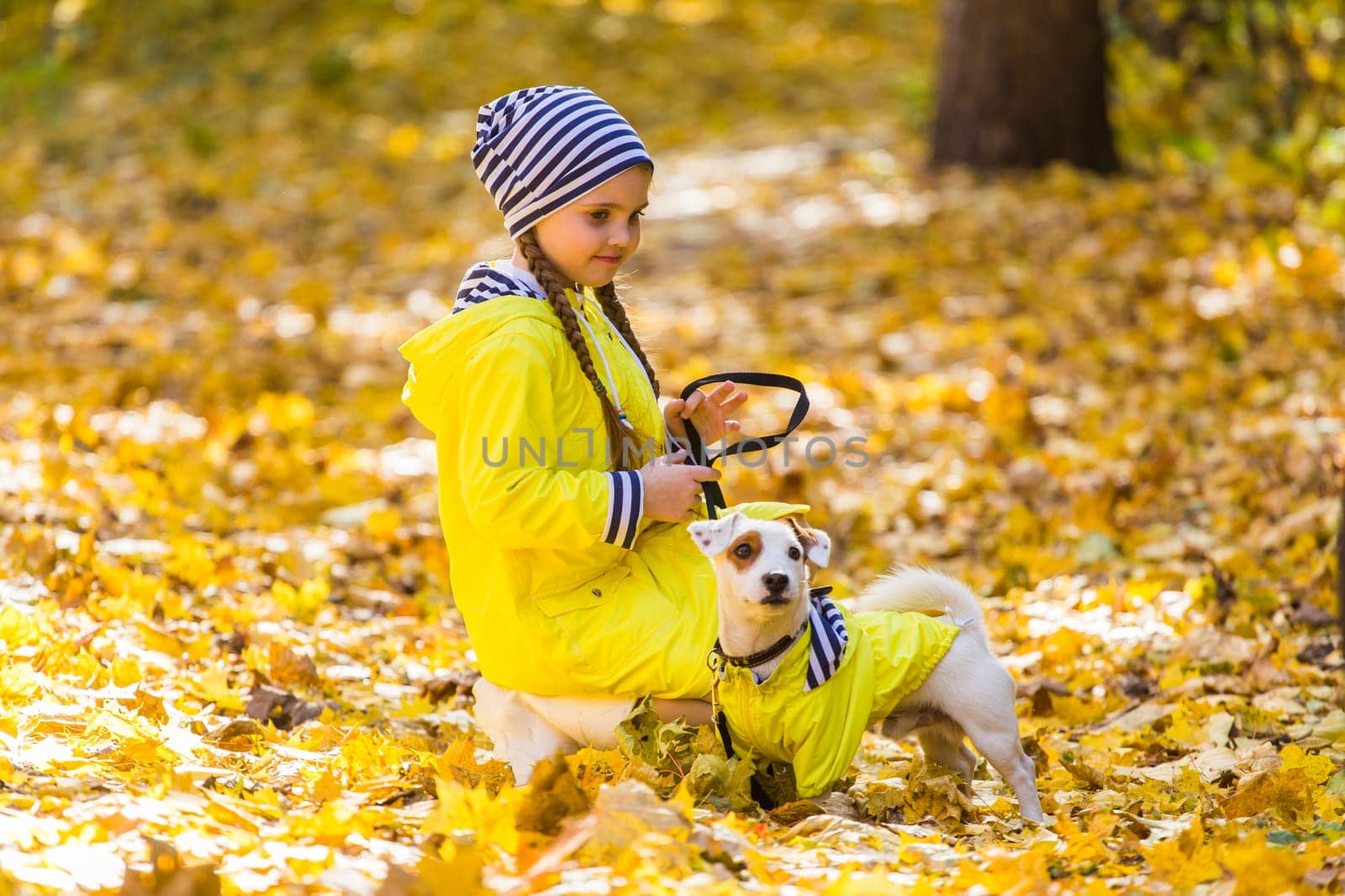 Girl with a dog jack russell terrier. Child, childhood, friendship and pet concept. Small dog walking in the autumn park.