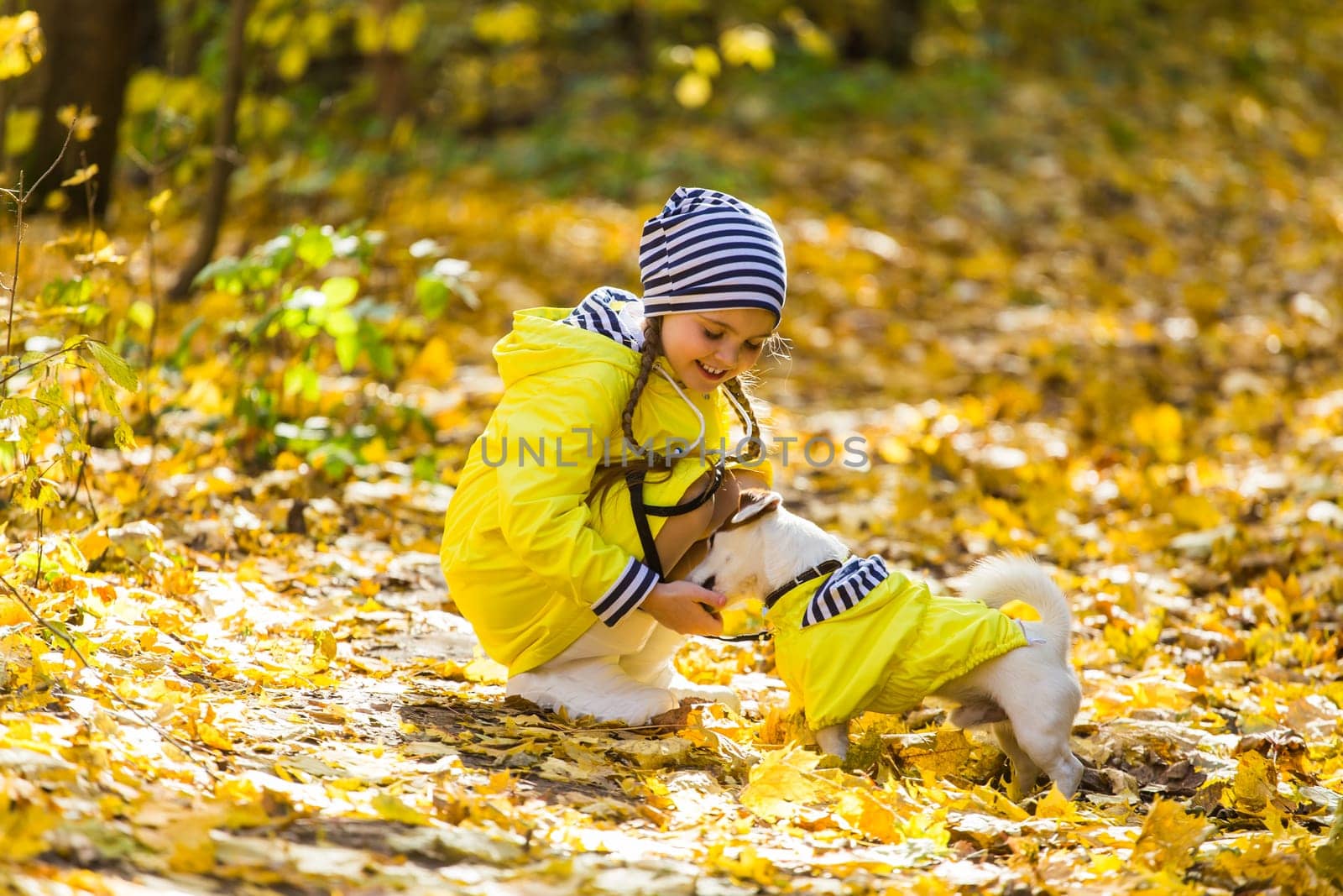 girl playing with her dog in autumn forest. Child and jack russell terrier dog.