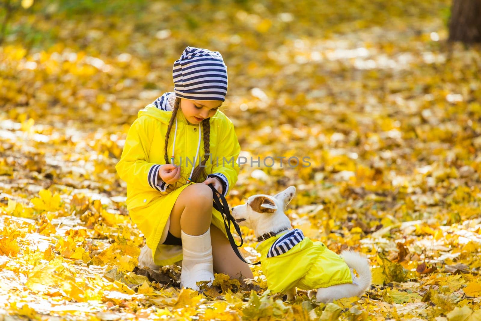 Girl with a dog jack russell terrier. Child, childhood, friendship and pet concept. Small dog walking in the autumn park.
