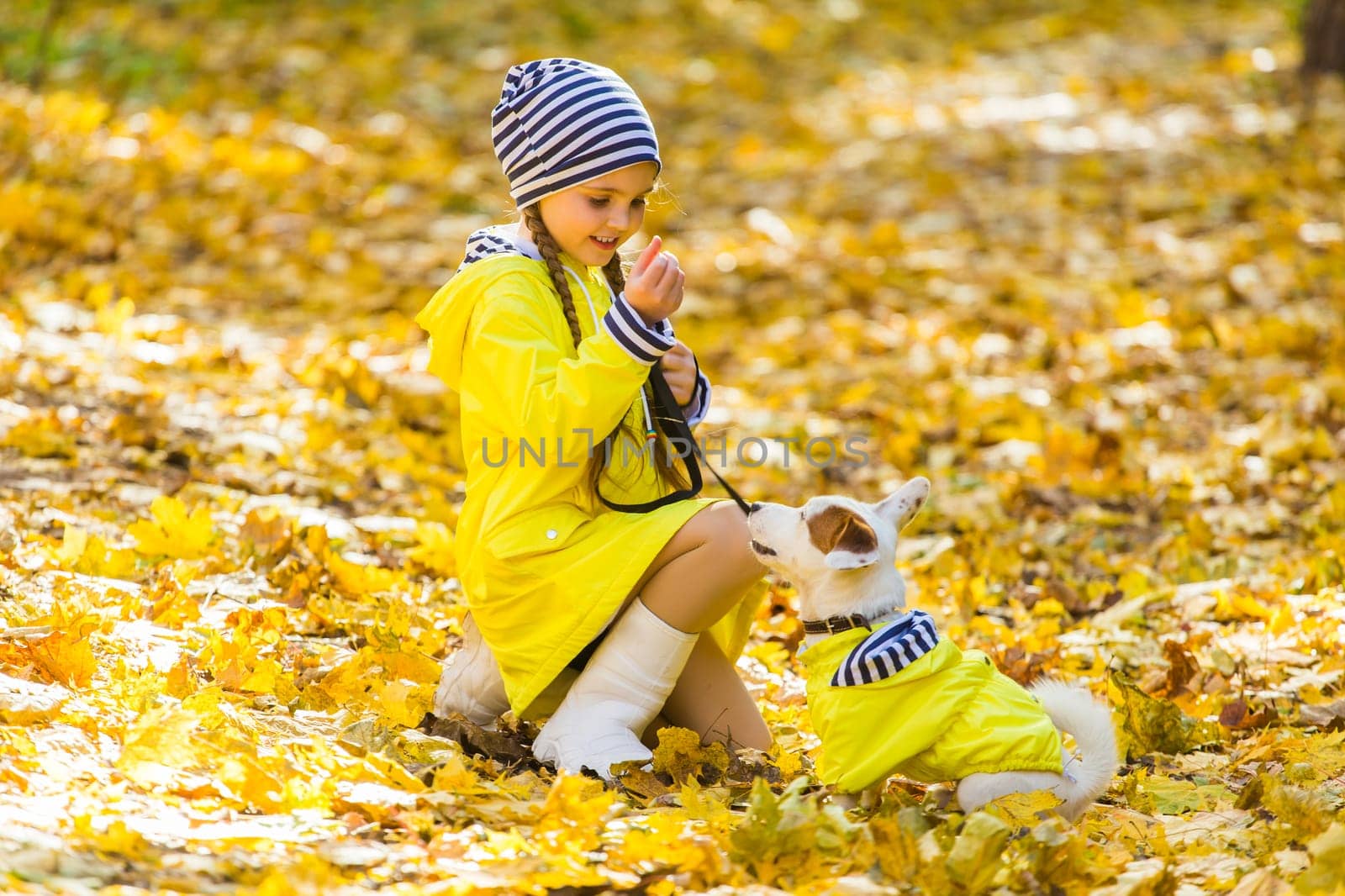 girl playing with her dog in autumn forest. Child and jack russell terrier dog.