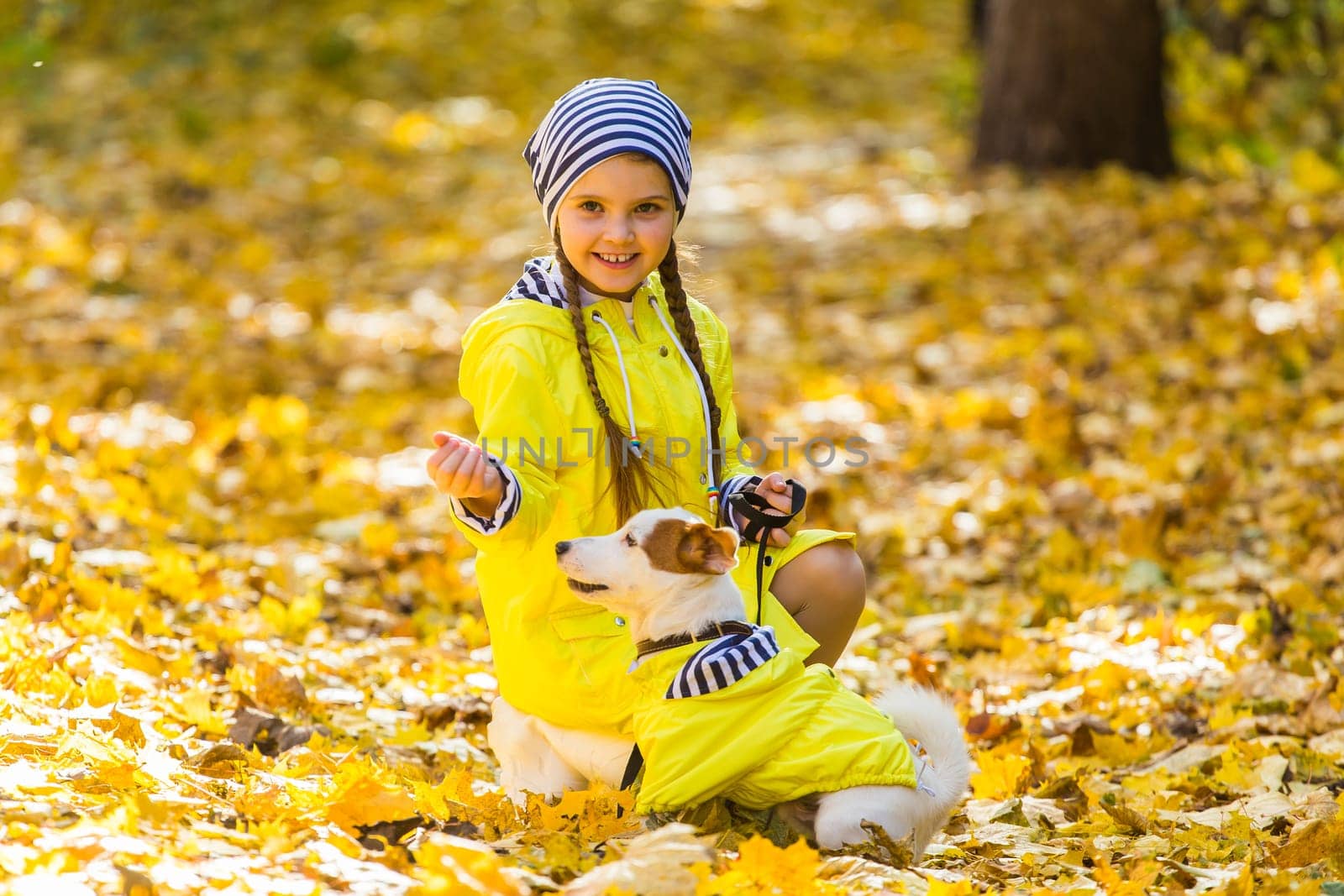 girl playing with her dog in autumn forest. Child and jack russell terrier dog.