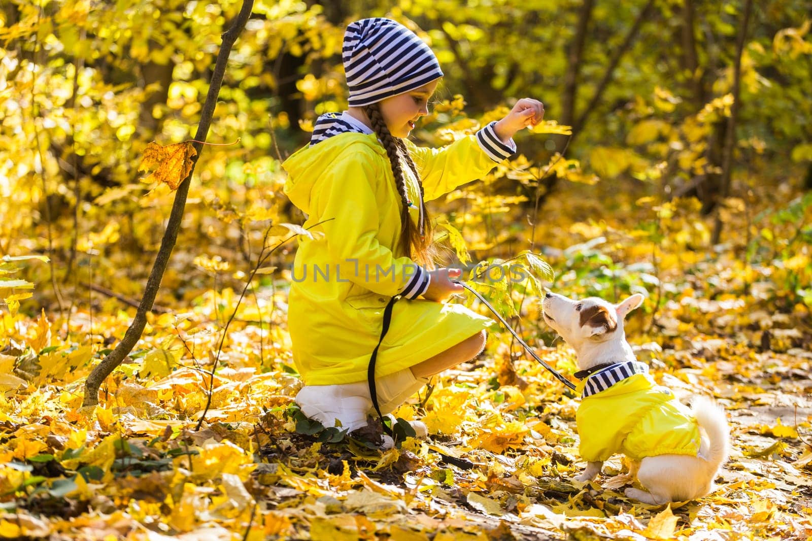 Girl with a dog jack russell terrier. Child, childhood, friendship and pet concept. Small dog walking in the autumn park.