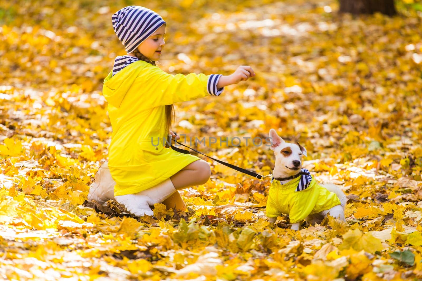 Child girl with dog outdoors. Kid with pet at autumn. Jack russell terrier puppy
