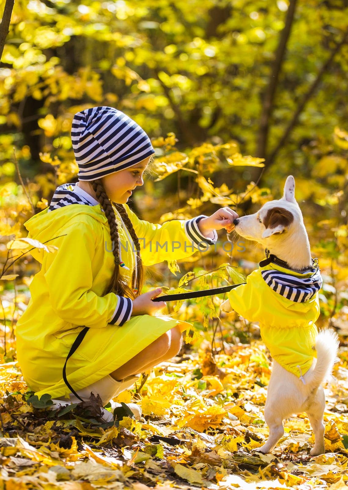 Child girl with dog outdoors. Kid with pet at autumn. Jack russell terrier puppy