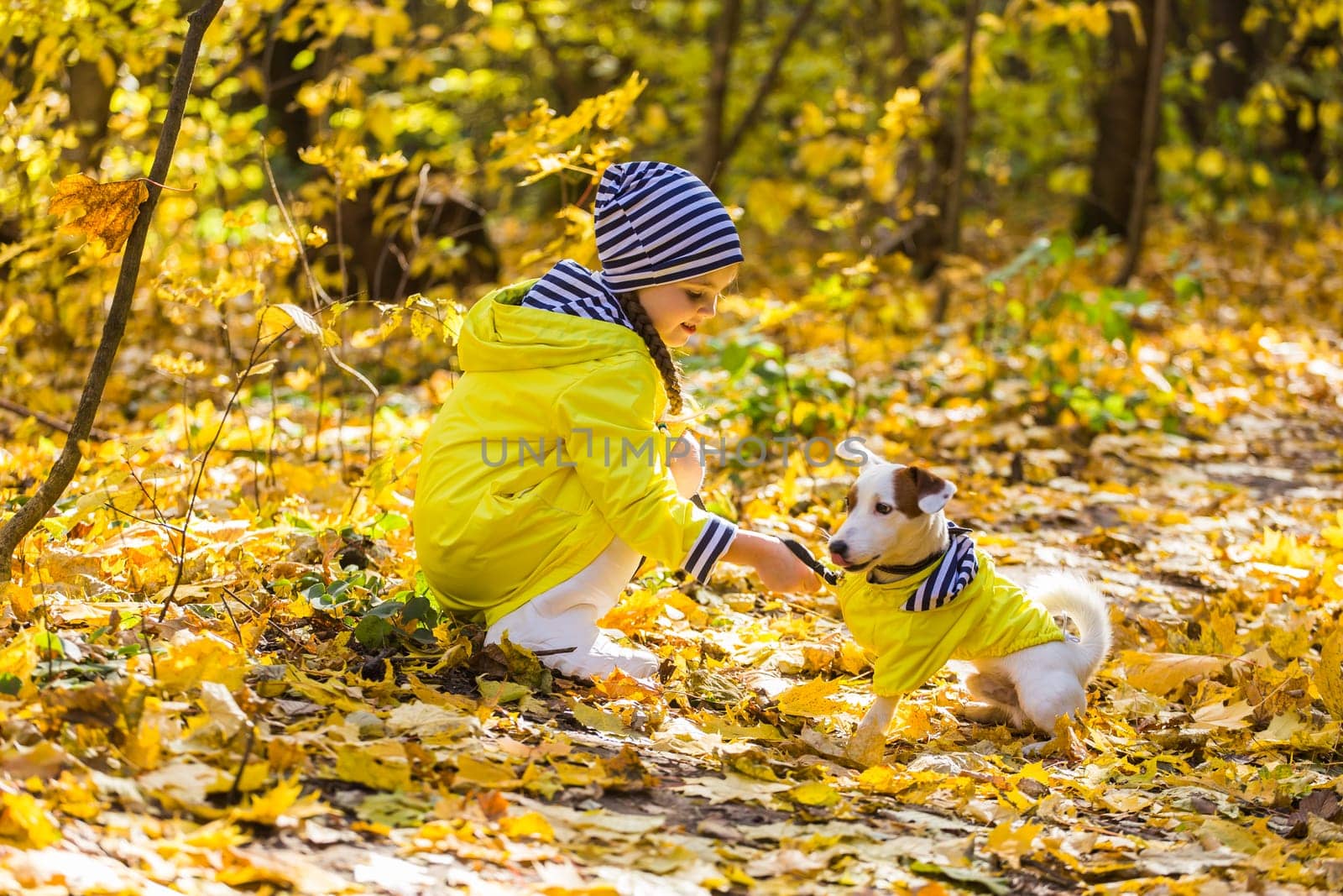 Girl with a dog jack russell terrier. Child, childhood, friendship and pet concept. Small dog walking in the autumn park.