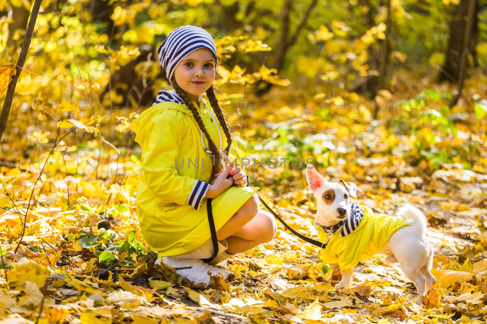 girl playing with her dog in autumn forest. Child and jack russell terrier dog.