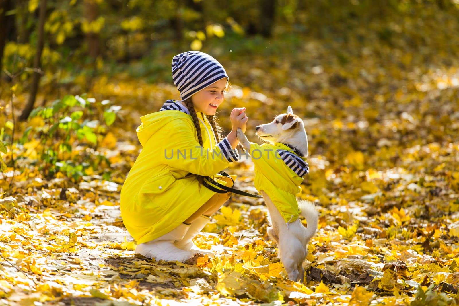 Girl with a dog jack russell terrier. Child, childhood, friendship and pet concept. Small dog walking in the autumn park.