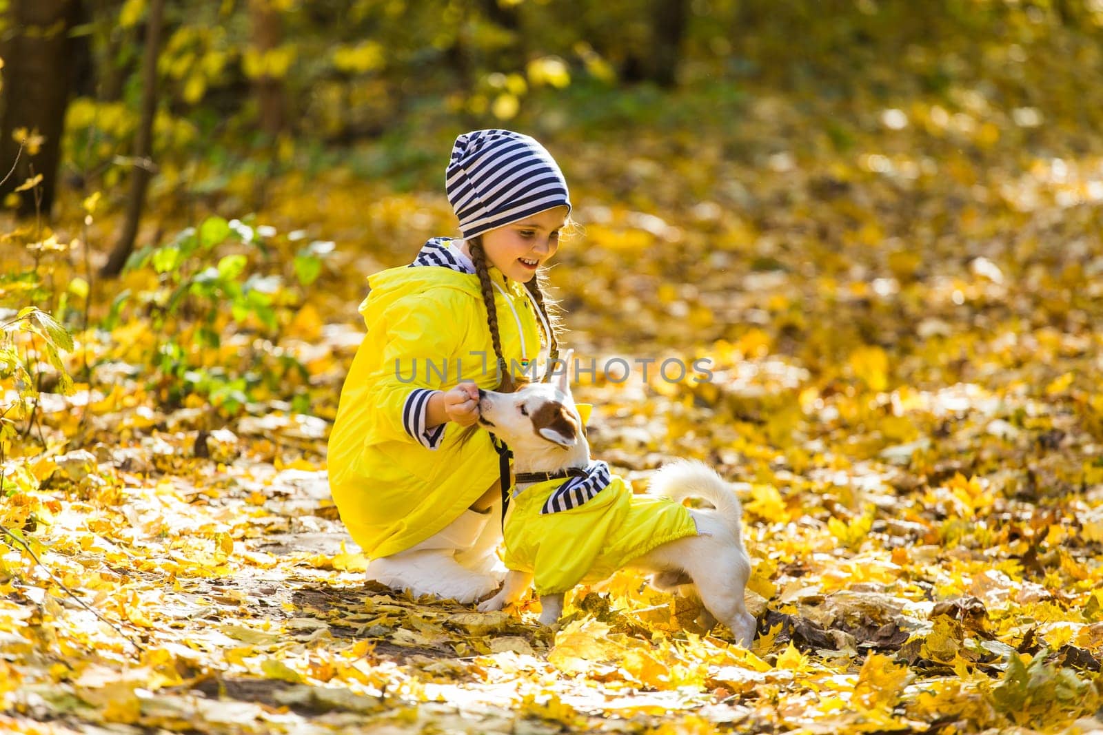 Portrait of a little girl on a background of orange and yellow leaves in an autumnal sunny day. Little puppy jack russell terrier. Pet and child concept.