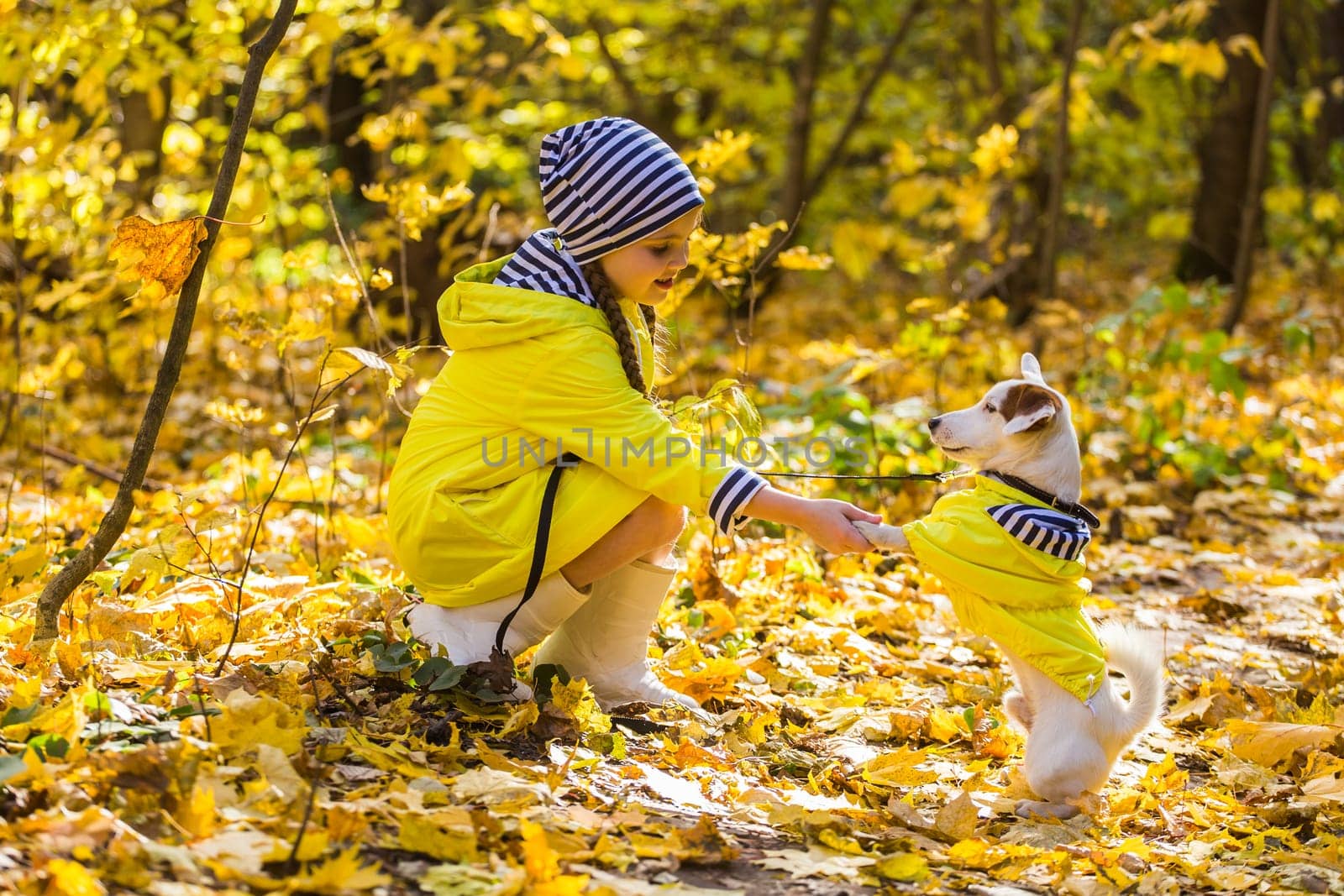 Child girl with dog outdoors. Kid with pet at autumn. Jack russell terrier puppy