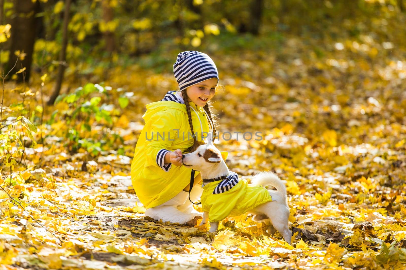 Girl with a dog jack russell terrier. Child, childhood, friendship and pet concept. Small dog walking in the autumn park.