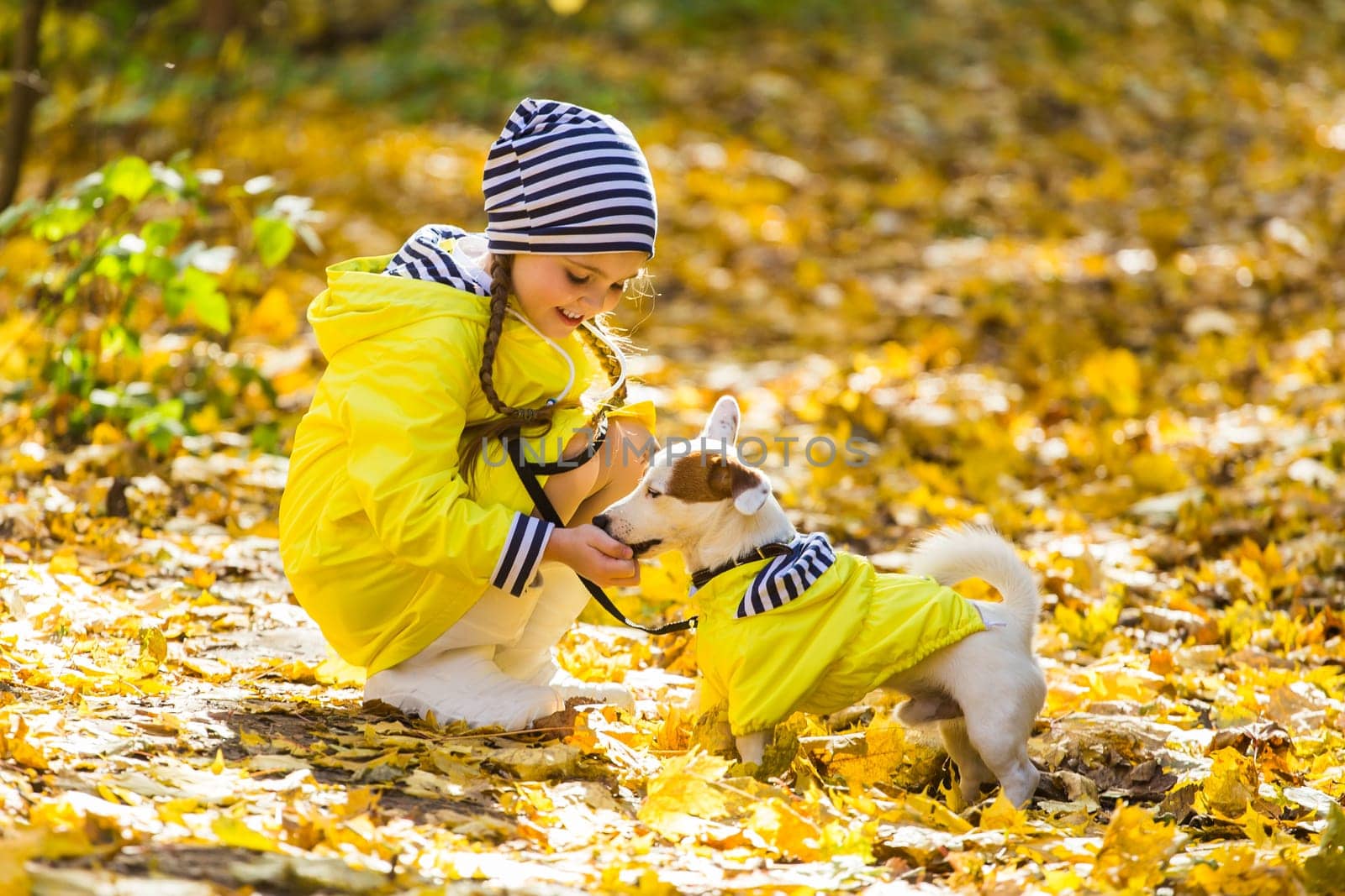 girl playing with her dog in autumn forest. Child and jack russell terrier dog.