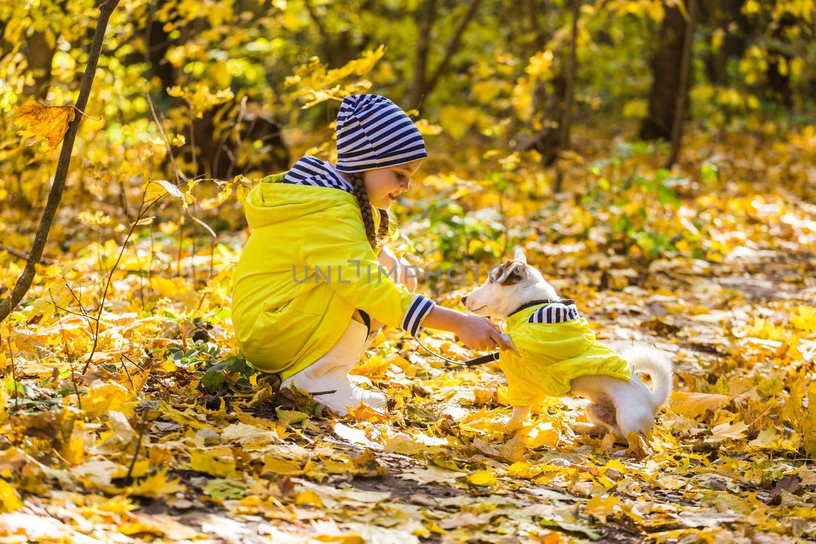 Girl with a dog jack russell terrier. Child, childhood, friendship and pet concept. Small dog walking in the autumn park.