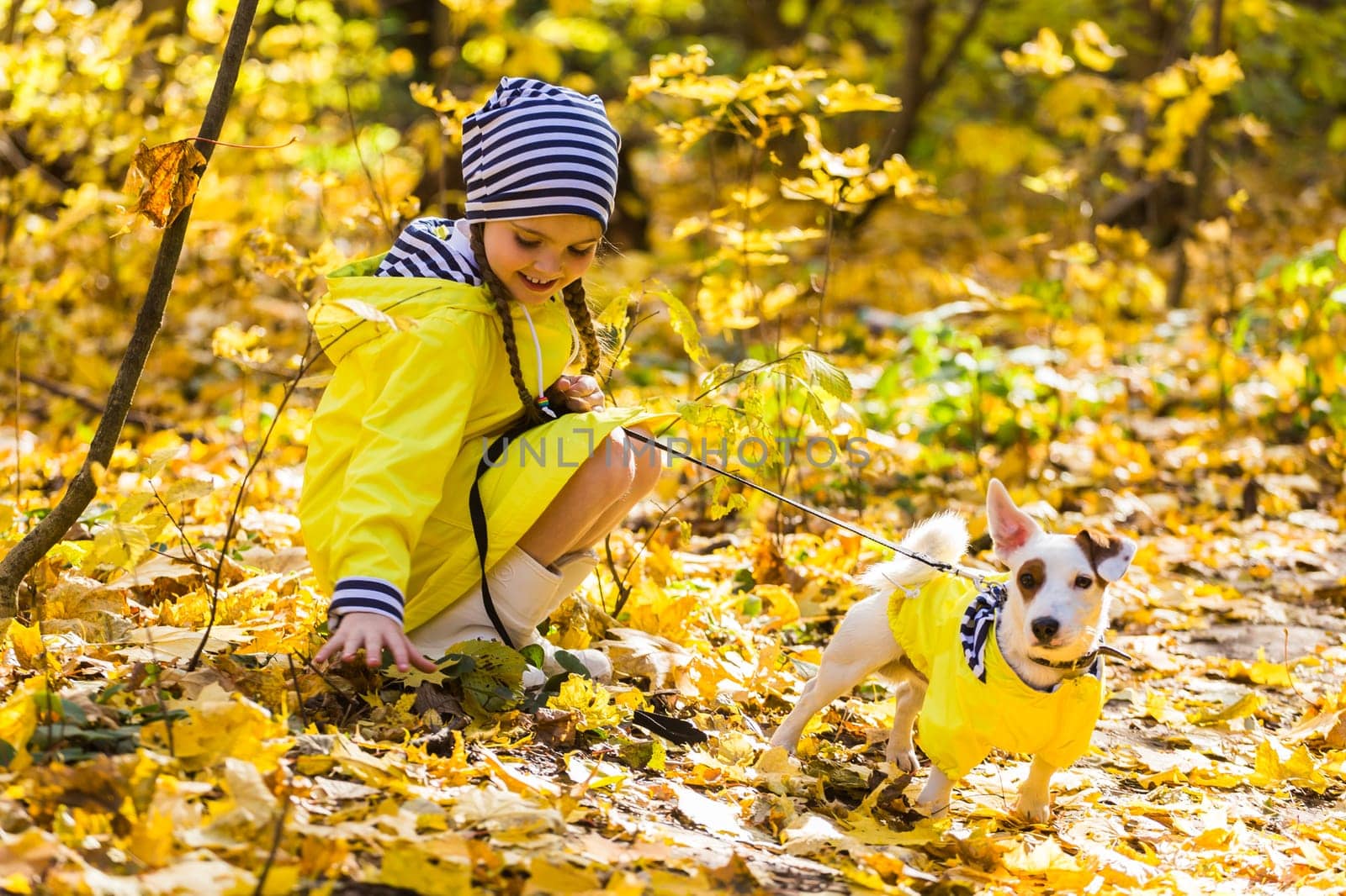 Child girl with dog outdoors. Kid with pet at autumn. Jack russell terrier puppy