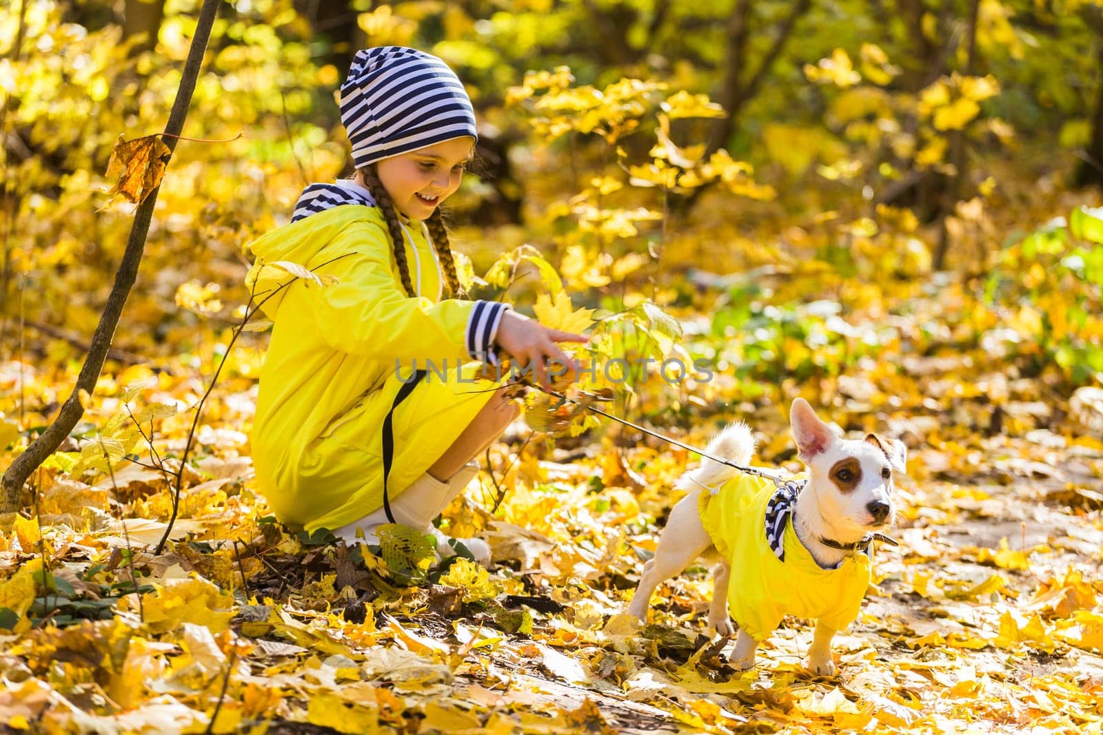 Girl with a dog jack russell terrier. Child, childhood, friendship and pet concept. Small dog walking in the autumn park.