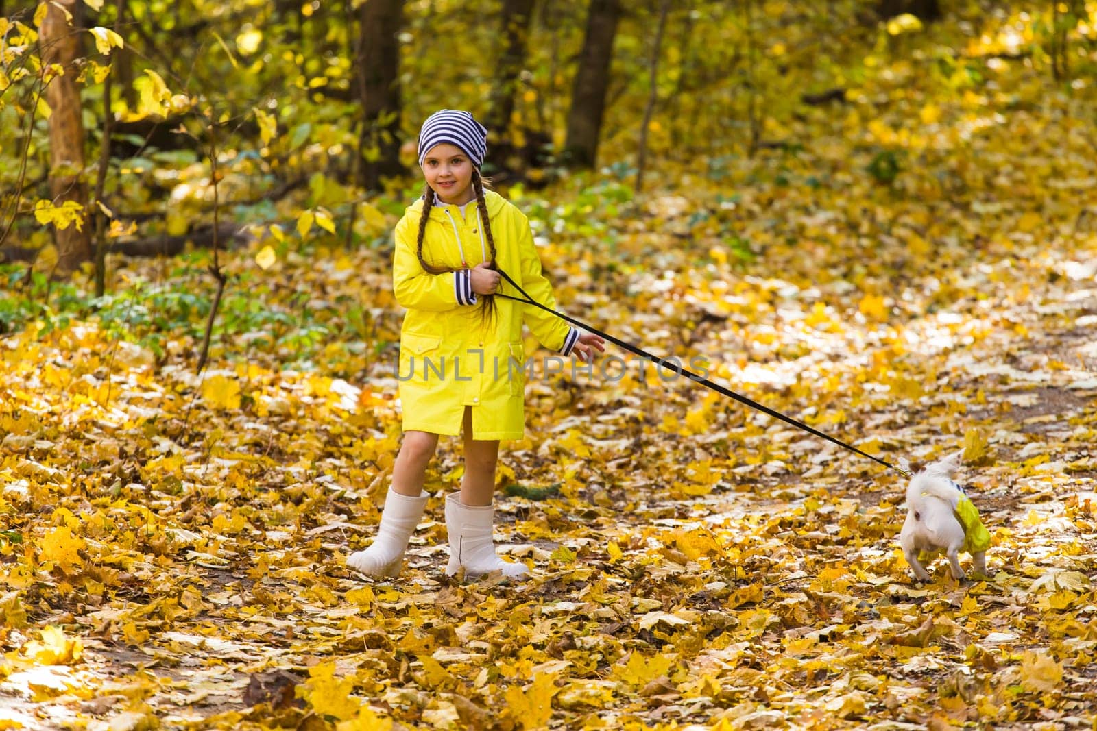 girl playing with her dog in autumn forest. Child and jack russell terrier dog.