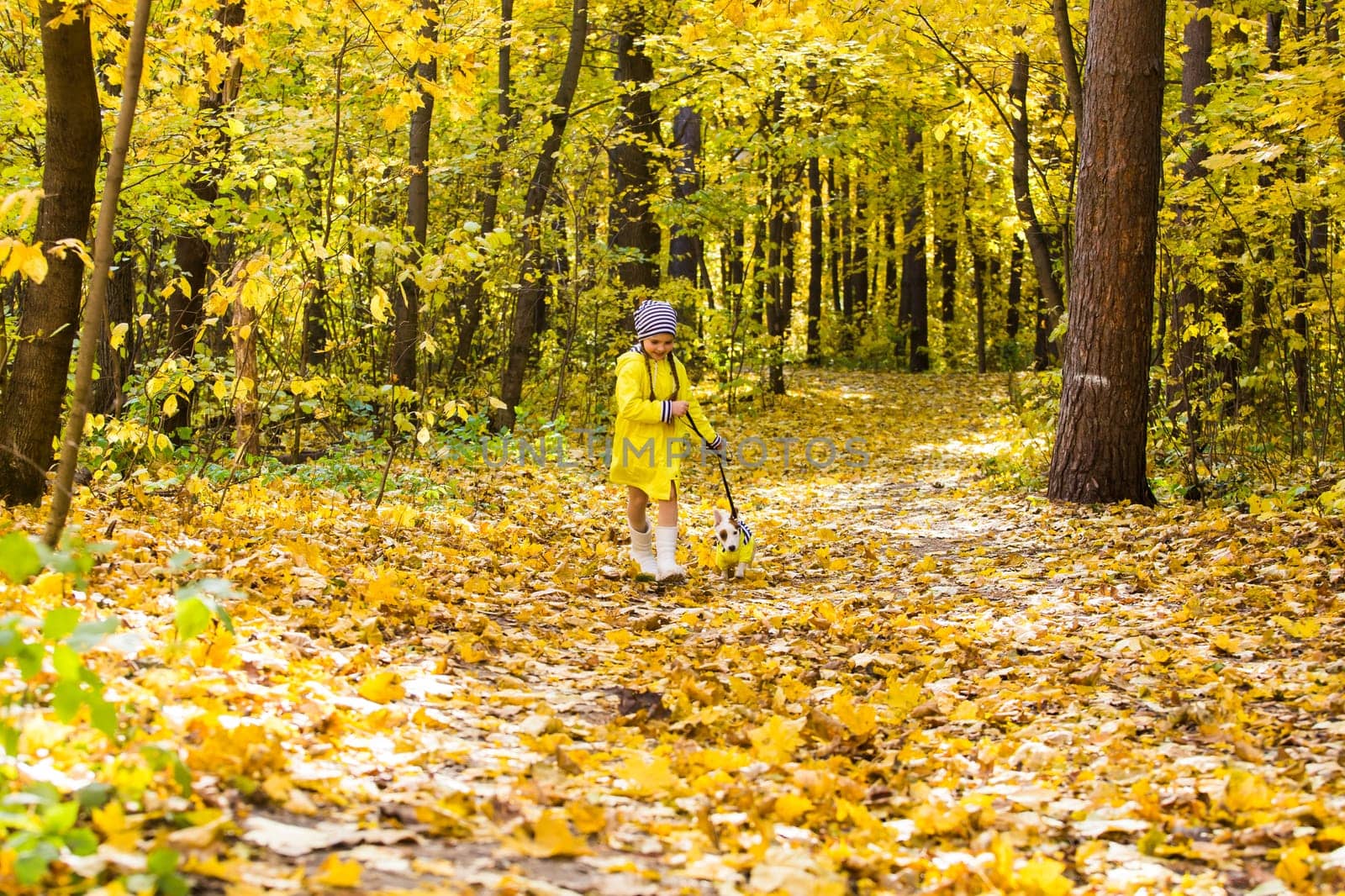 Girl with a dog jack russell terrier. Child, childhood, friendship and pet concept. Small dog walking in the autumn park.