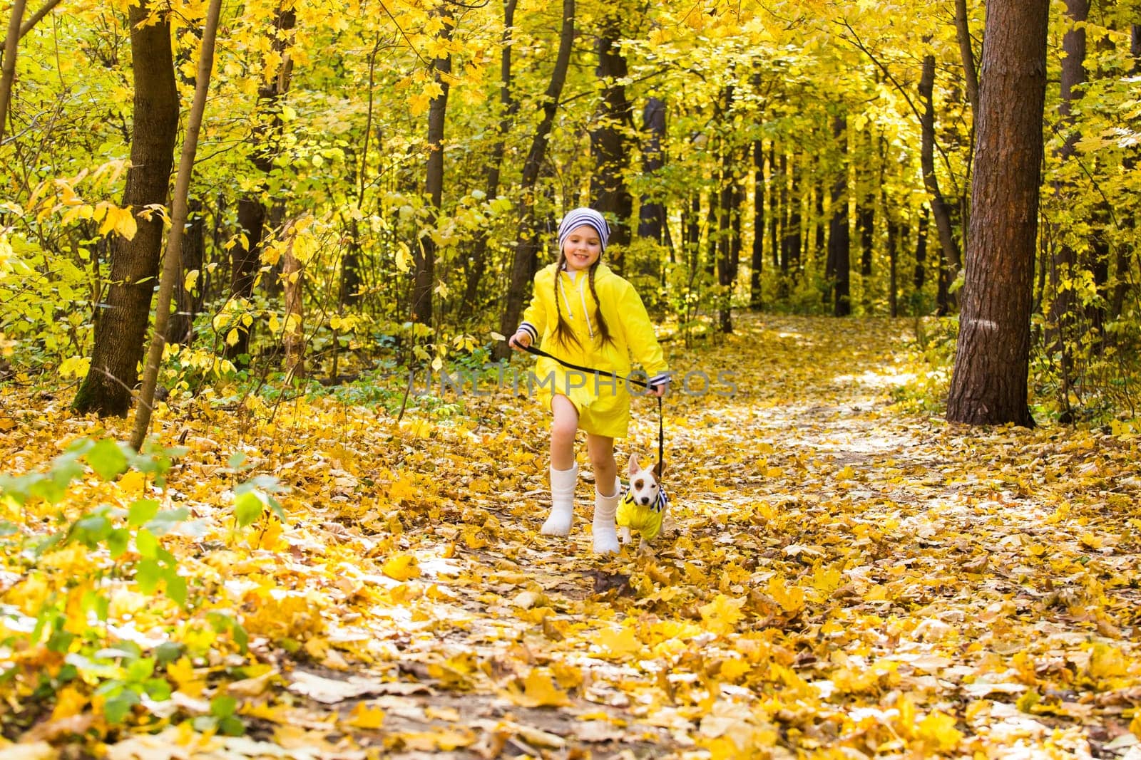 Child girl with dog outdoors. Kid with pet at autumn. Jack russell terrier puppy