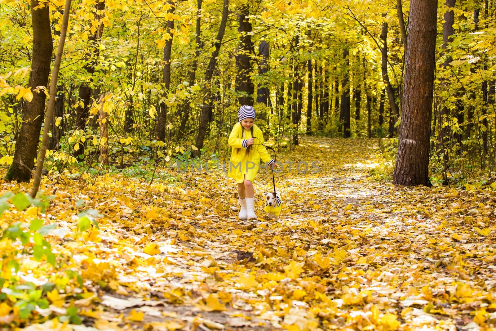 girl playing with her dog in autumn forest. Child and jack russell terrier dog.