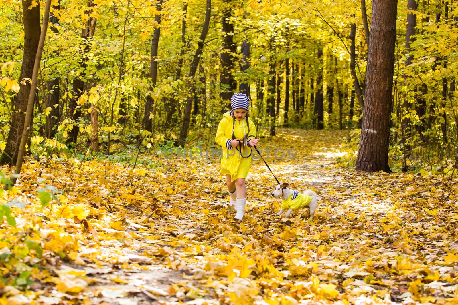 girl playing with her dog in autumn forest. Child and jack russell terrier dog.