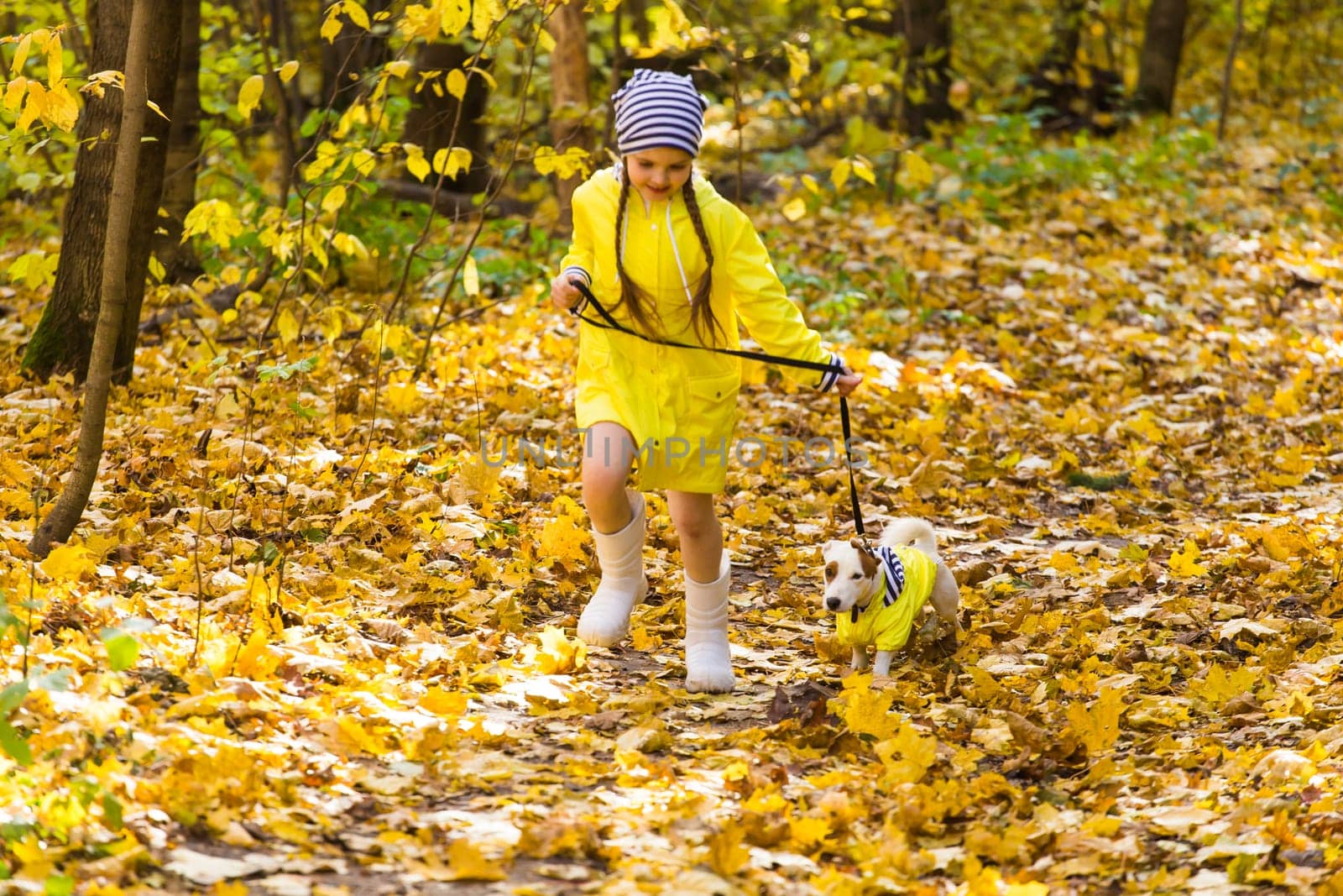 Child girl with dog outdoors. Kid with pet at autumn. Jack russell terrier puppy