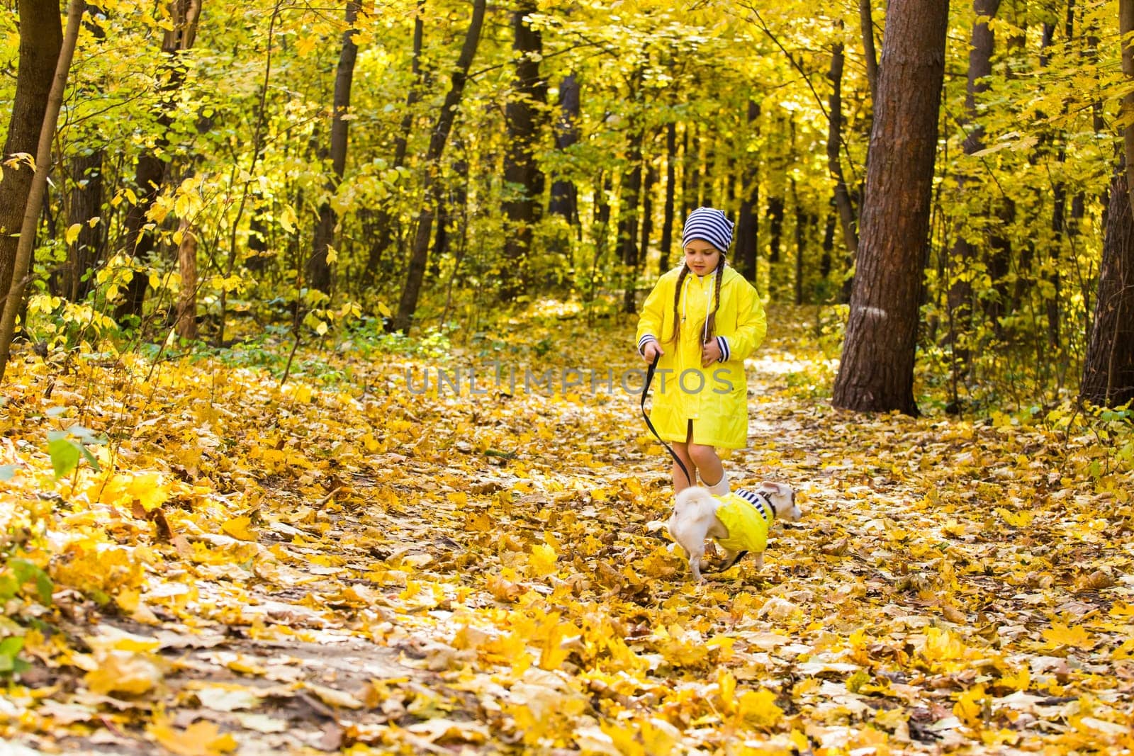 Child girl with dog outdoors. Kid with pet at autumn. Jack russell terrier puppy