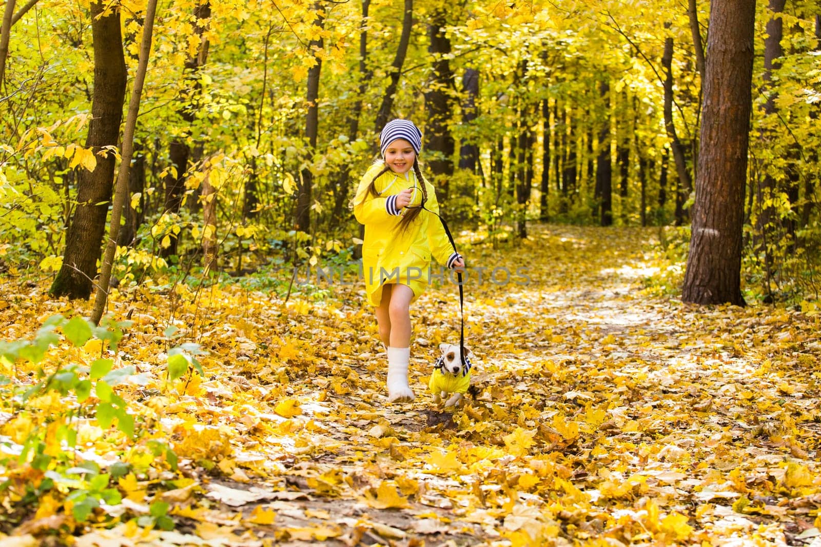 Portrait of a little girl on a background of orange and yellow leaves in an autumnal sunny day. Little puppy jack russell terrier. Pet and child concept.