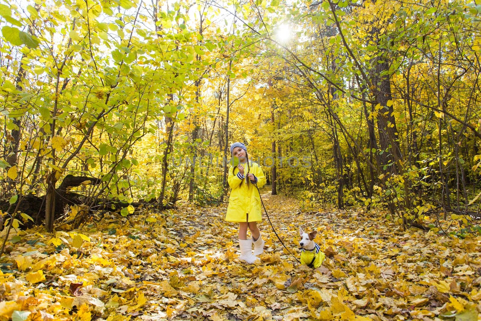 girl playing with her dog in autumn forest. Child and jack russell terrier dog.