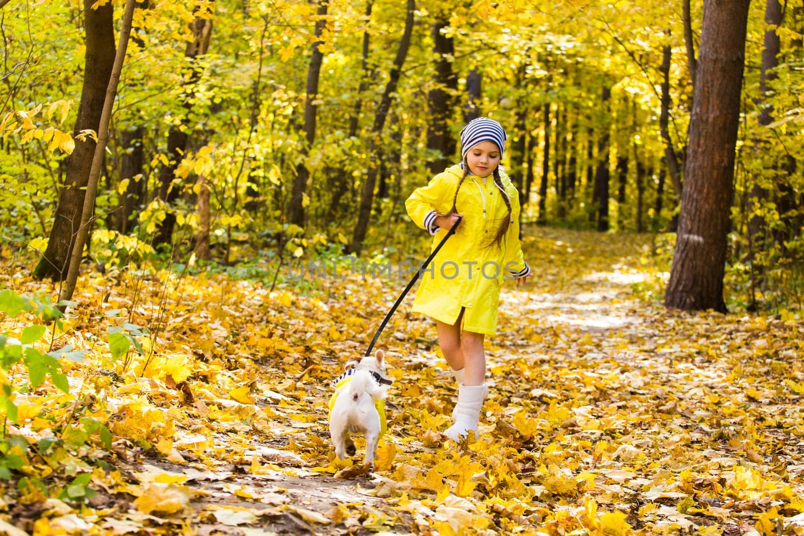 girl playing with her dog in autumn forest. Child and jack russell terrier dog.