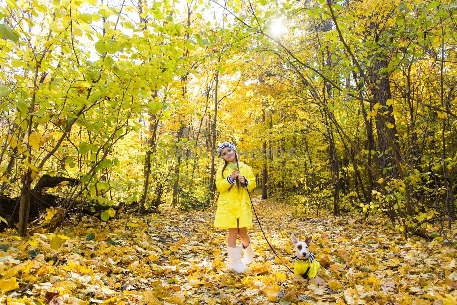 Child girl with dog outdoors. Kid with pet at autumn. Jack russell terrier puppy