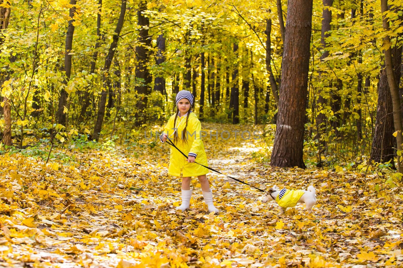 Girl with a dog jack russell terrier. Child, childhood, friendship and pet concept. Small dog walking in the autumn park.