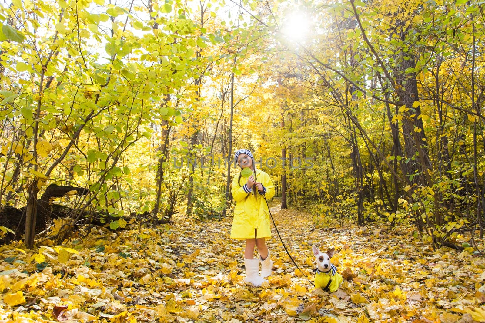 Girl with a dog jack russell terrier. Child, childhood, friendship and pet concept. Small dog walking in the autumn park.