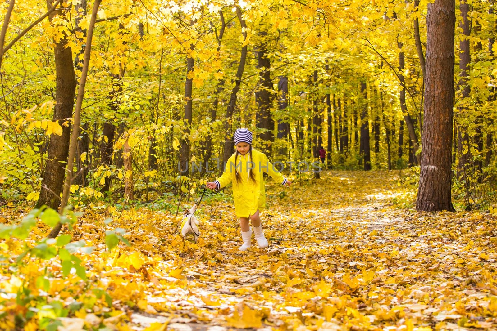 Girl with a dog jack russell terrier. Child, childhood, friendship and pet concept. Small dog walking in the autumn park.