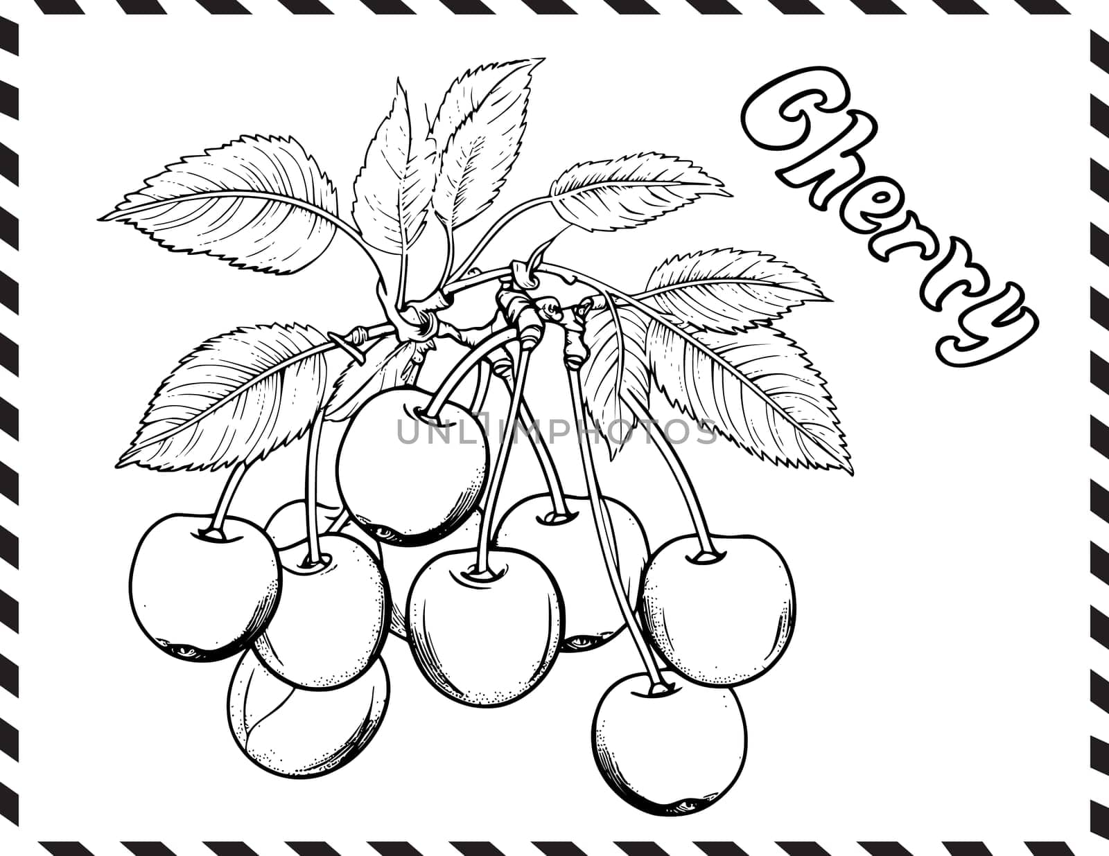 Cherry Coloring Page For Kids