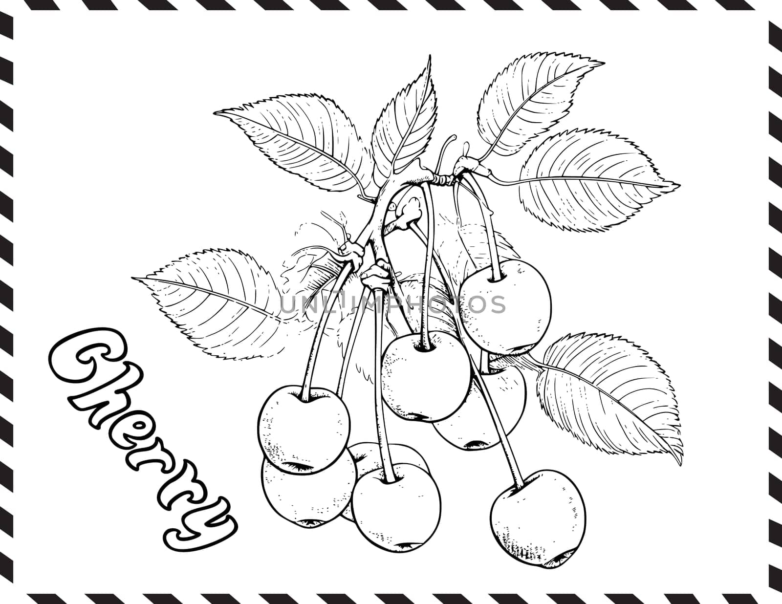 Cherry Coloring Page For Kids