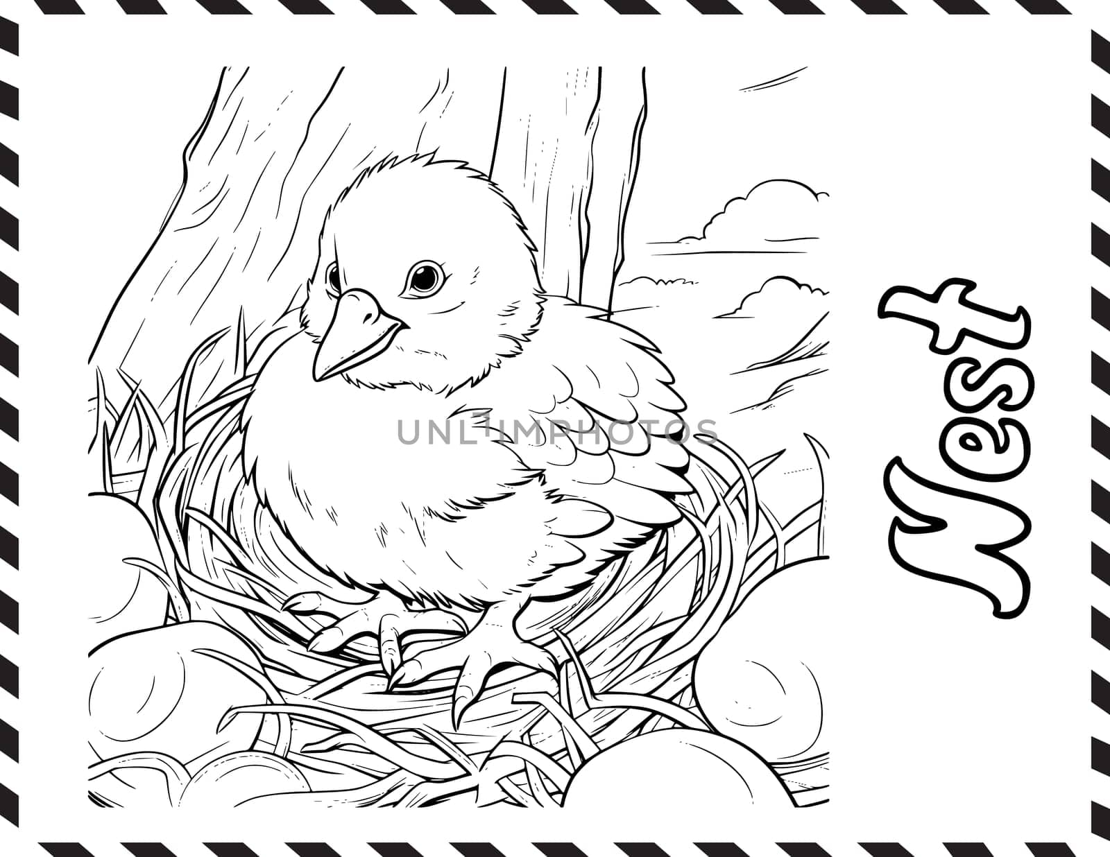 Chicks In The Nest Coloring Book  Coloring Pages for Kids