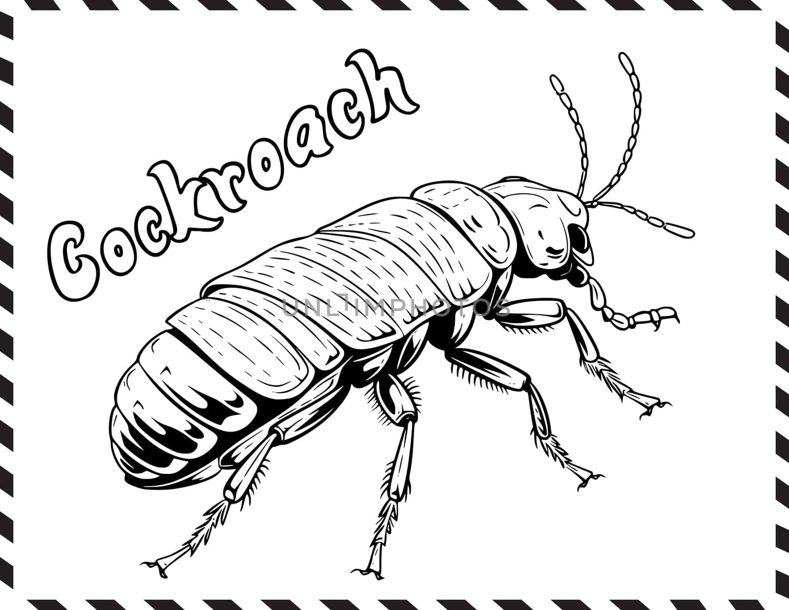 Cockroach Coloring Page for Kids