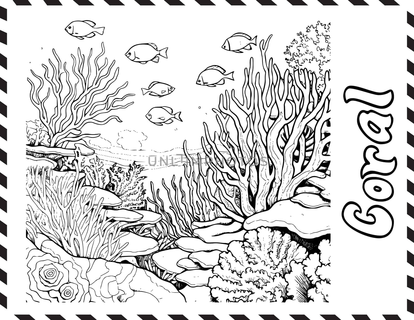 Coral Coloring Pages for Kids