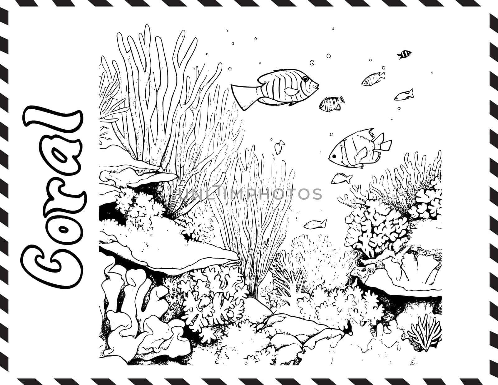 Coral Reef Coloring Page Drawing For Kids