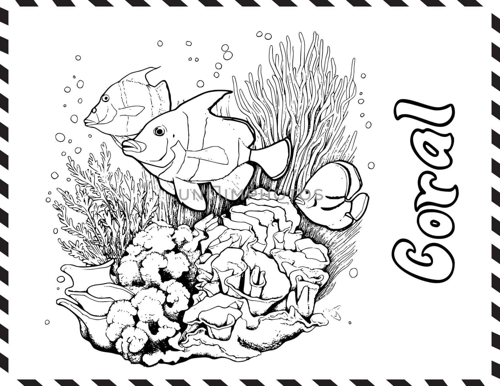 Coral Coloring Pages for Kids