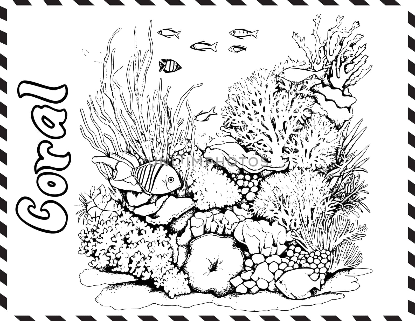 Coral Coloring Pages for Kids